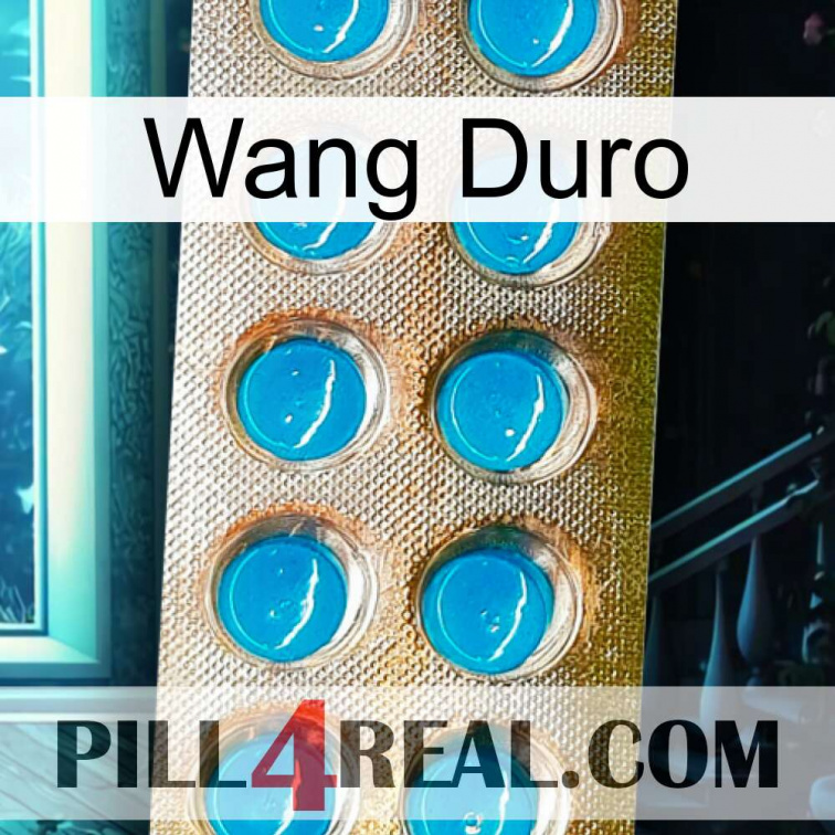 Hard Wang new09